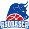 公牛ASOBASCA logo