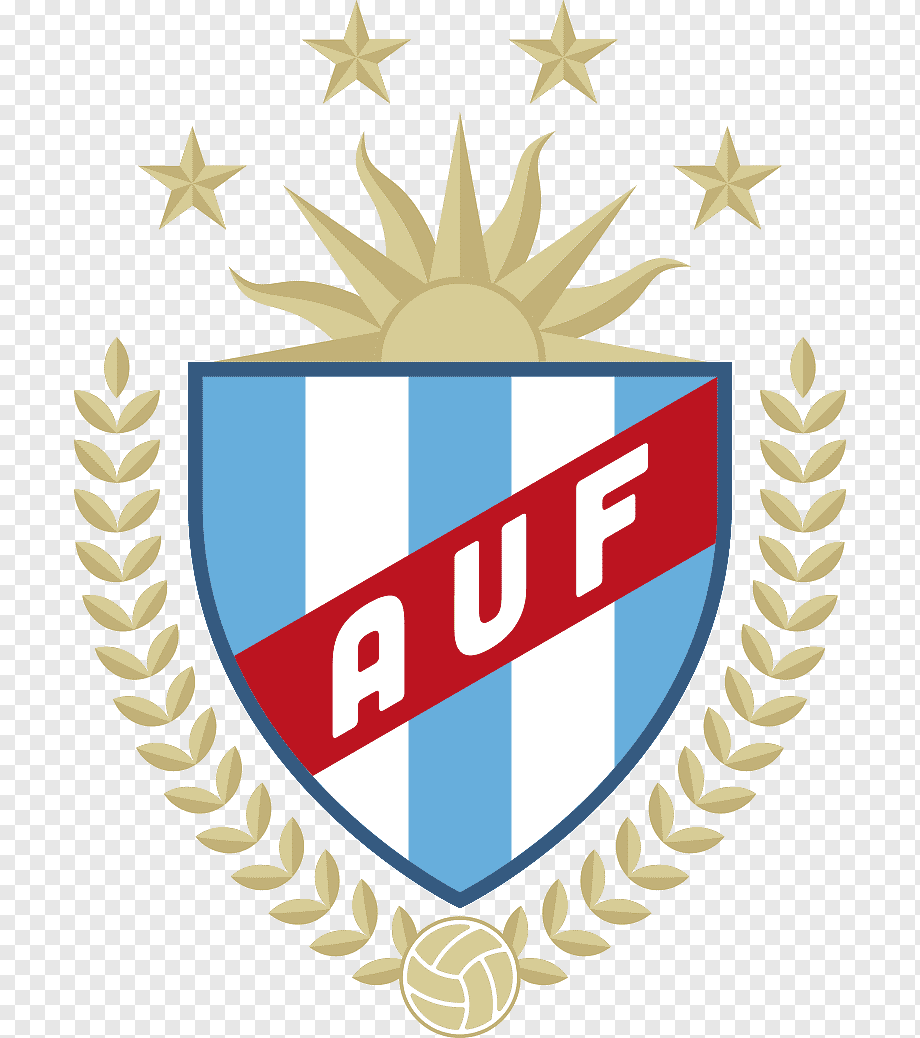 德尔苏雷斯特大学FC logo